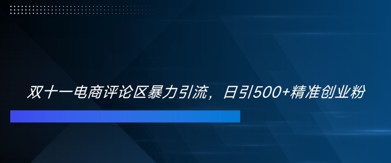 双十一电商评论区暴力引流，日引500+精准创业粉【揭秘】-赚钱驿站