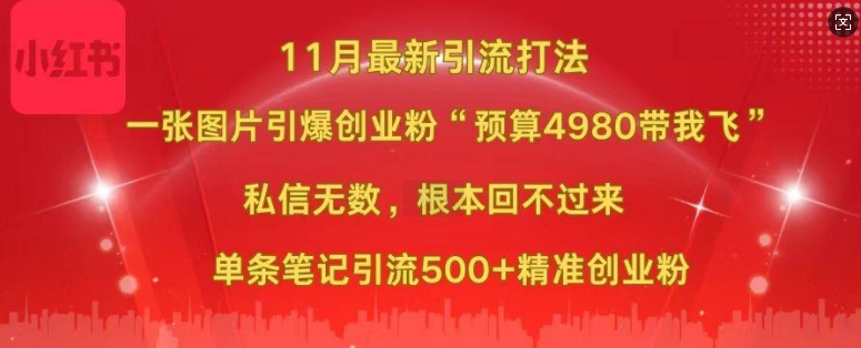 小红书11月最新图片打粉，一张图片引爆创业粉，“预算4980带我飞”，单条引流500+精准创业粉-赚钱驿站