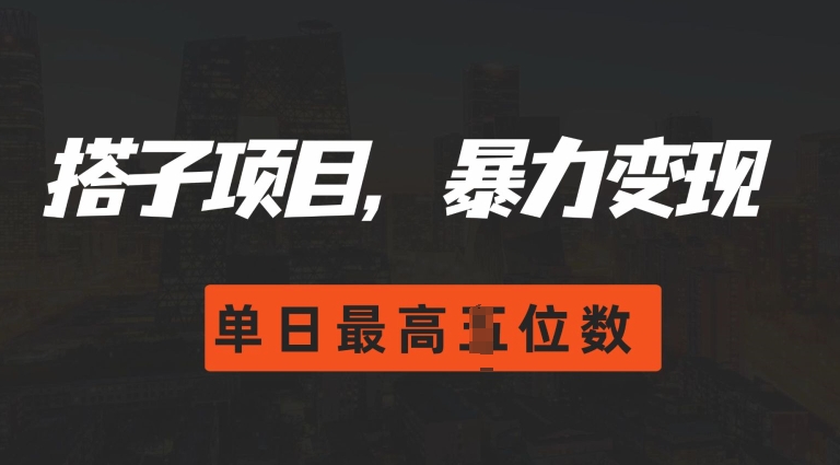 2024搭子玩法，0门槛，暴力变现，单日最高破四位数【揭秘】-赚钱驿站