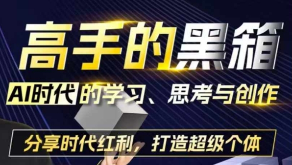 高手的黑箱：AI时代学习、思考与创作-分红时代红利，打造超级个体-赚钱驿站