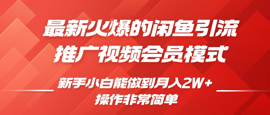 闲鱼引流推广影视会员，0成本就可以操作，新手小白月入过W+【揭秘】-赚钱驿站