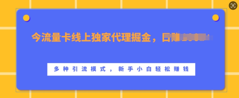 流量卡线上独家代理掘金，日入1k+ ，多种引流模式，新手小白轻松上手【揭秘】-赚钱驿站