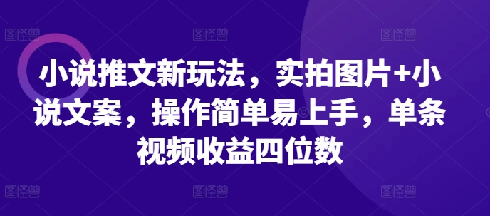 小说推文新玩法，实拍图片+小说文案，操作简单易上手，单条视频收益四位数-赚钱驿站