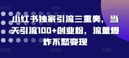 小红书独家引流三重奏，当天引流100+创业粉，流量爆炸不愁变现【揭秘】-赚钱驿站