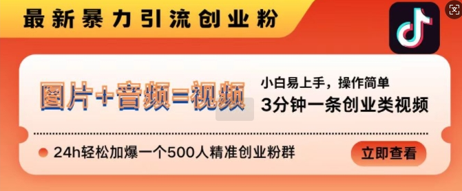 抖音最新暴力引流创业粉，3分钟一条创业类视频，24h轻松加爆一个500人精准创业粉群【揭秘】-赚钱驿站