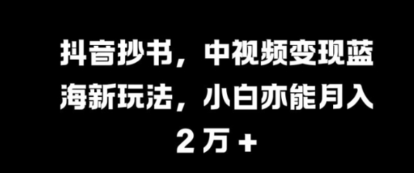 抖音抄书，中视频变现蓝海新玩法，小白亦能月入 过W【揭秘】-赚钱驿站