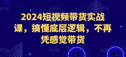 2024短视频带货实战课，搞懂底层逻辑，不再凭感觉带货-赚钱驿站