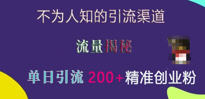 不为人知的引流渠道，流量揭秘，实测单日引流200+精准创业粉【揭秘】-赚钱驿站