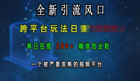 全新引流风口，跨平台玩法日入上k，单日狂揽200+精准创业粉，一个被严重忽略的视频平台-赚钱驿站