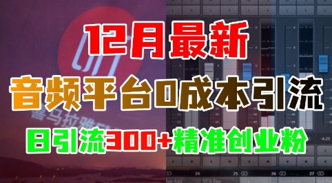 12月最新：音频平台0成本引流，日引流300+精准创业粉-赚钱驿站