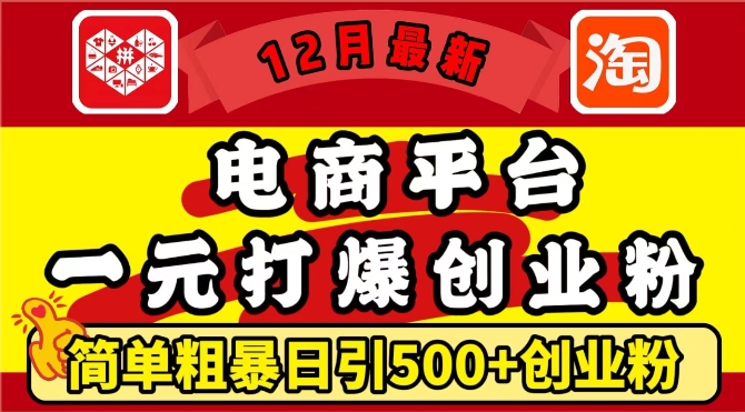 12月最新：电商平台1元打爆创业粉，简单粗暴日引500+精准创业粉，轻松月入过W【揭秘】-赚钱驿站