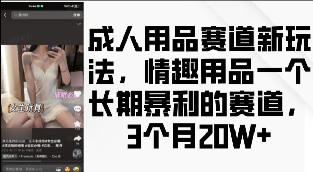 成人用品赛道新玩法，情趣用品一个长期暴利的赛道，3个月收益20个【揭秘】-赚钱驿站