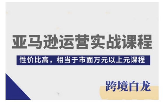 亚马逊运营实战课程，亚马逊从入门到精通，性价比高，相当于市面万元以上元课程-赚钱驿站