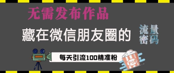 藏在微信朋友圈的流量密码，无需发布作品，单日引流100+精准创业粉【揭秘】-赚钱驿站