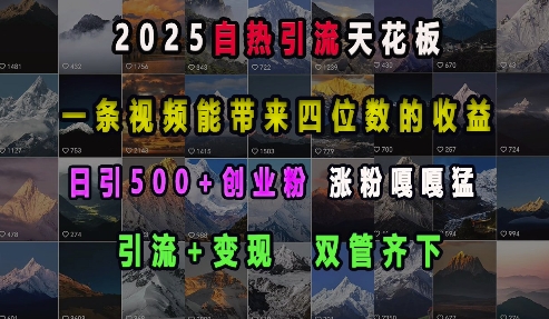 2025自热引流天花板，一条视频能带来四位数的收益，引流+变现双管齐下，日引500+创业粉，涨粉嘎嘎猛-赚钱驿站