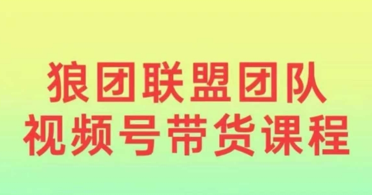 狼团联盟2024视频号带货，0基础小白快速入局视频号-赚钱驿站