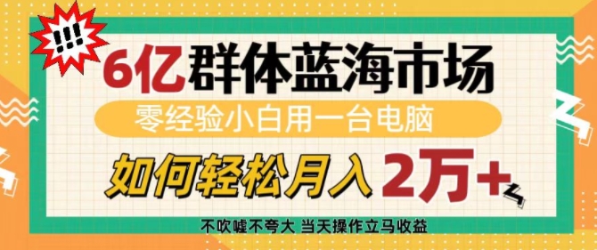 6亿群体蓝海市场，零经验小白用一台电脑，如何轻松月入过w【揭秘】-赚钱驿站