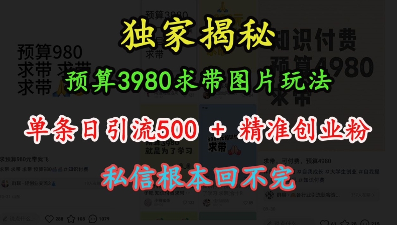 预算3980求带 图片玩法，单条日引流500+精准创业粉，私信根本回不完-赚钱驿站