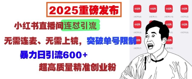 2025重磅发布：小红书直播间连怼引流，无需连麦、无需上镜，突破单号限制，暴力日引流600+-赚钱驿站