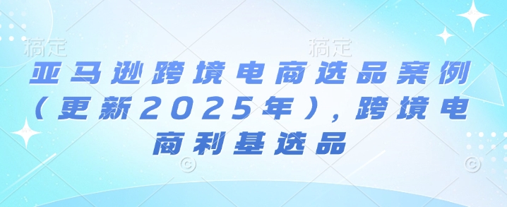 亚马逊跨境电商选品案例(更新2025年)，跨境电商利基选品-赚钱驿站