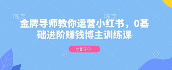 金牌导师教你运营小红书，0基础进阶赚钱博主训练课-赚钱驿站