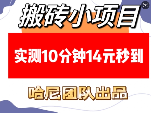 搬砖小项目，实测10分钟14元秒到，每天稳定几张(赠送必看稳定)-赚钱驿站