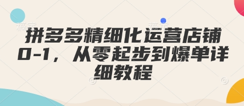 拼多多精细化运营店铺0-1，从零起步到爆单详细教程-赚钱驿站