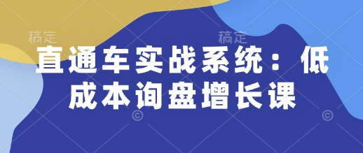 直通车实战系统：低成本询盘增长课，让个人通过技能实现升职加薪，让企业低成本获客，订单源源不断-赚钱驿站