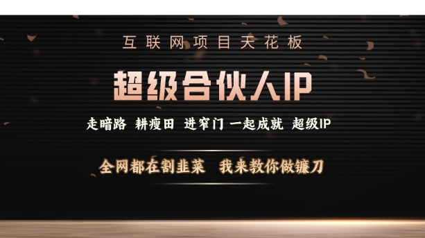 互联网项目天花板，超级合伙人IP，全网都在割韭菜，我来教你做镰刀【仅揭秘】-赚钱驿站