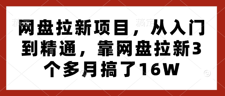 网盘拉新项目，从入门到精通，靠网盘拉新3个多月搞了16W-赚钱驿站