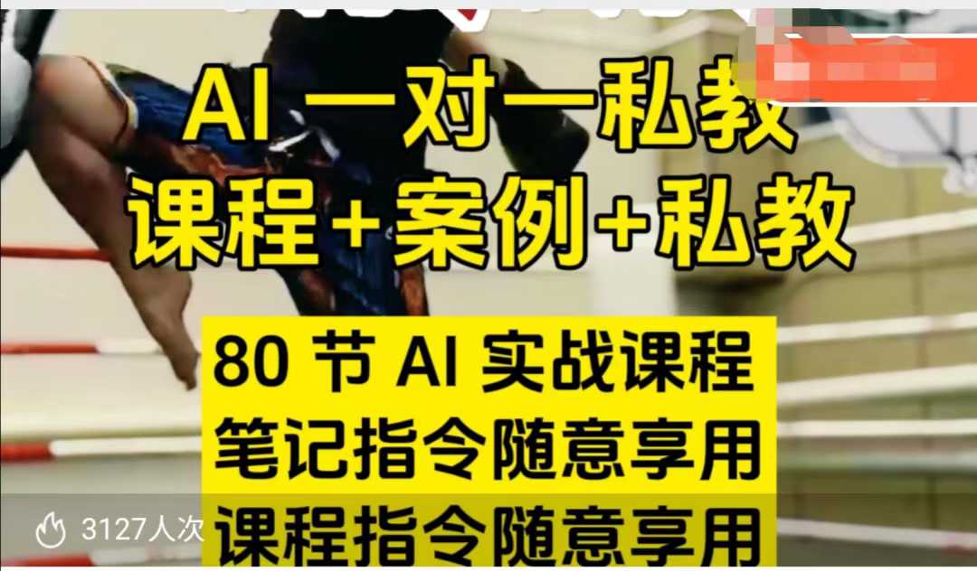 AI指令实战课，课程+案例，80节AI实战课程，笔记指令随意享用，课程指令随意享用-赚钱驿站