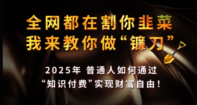 全网都在割你韭菜，我来教你做镰刀，2025年普通人如何通过 知识付费 实现财F自由【揭秘】-赚钱驿站