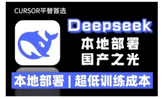 2025年deepseek R1 大型模型本地安装部署(文件+教程)本地部署，超低训练成本-赚钱驿站