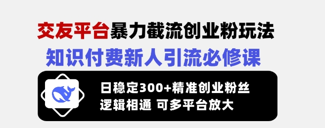 交友平台暴力截流创业粉玩法，知识付费新人引流必修课，日稳定300+精准创业粉丝，逻辑相通可多平台放大-赚钱驿站