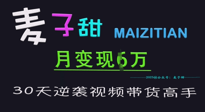 麦子甜30天逆袭视频带货高手，单月变现6W加特训营-赚钱驿站