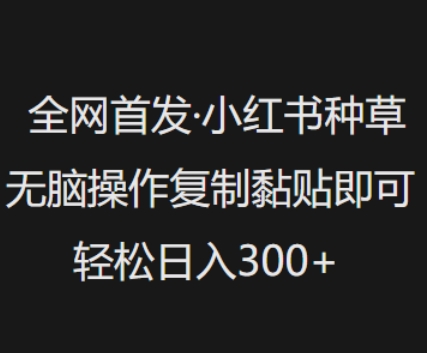 全网首发，小红书种草无脑操作，复制黏贴即可，轻松日入3张-赚钱驿站