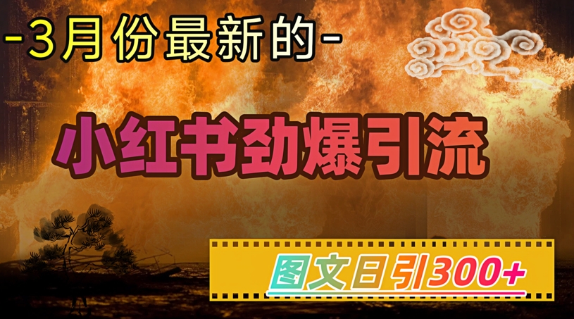 小红书超劲爆引流手段，图文日引300+轻松变现1W-赚钱驿站