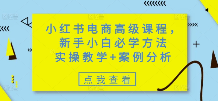 小红书电商高级课程，新手小白必学方法，实操教学+案例分析-赚钱驿站